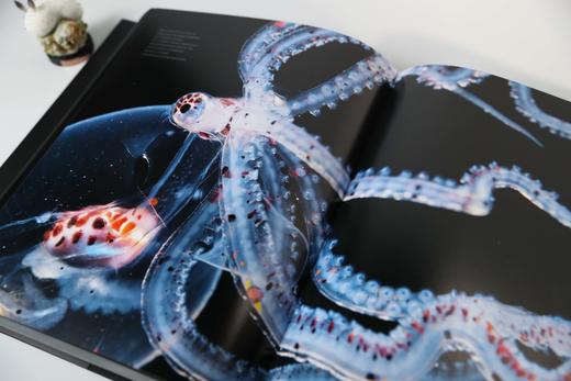 《黑水：无尽深渊的未知世界》尊享函套版 无穷小亮 胡歌 三蝶纪等大咖倾情推荐 中国国家地理特约摄影师力作 商品图3