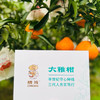 【初春限定】大雅柑 柑橘中的“鱼子酱”，巨浓郁，稀缺少有的口感 商品缩略图5