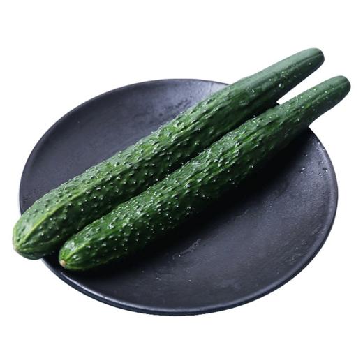 青皮黄瓜（约500g） 商品图0