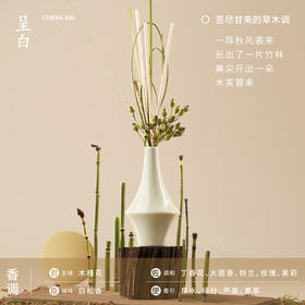 【呈白东方花艺大师香薰】家用室内持久无火香氛陶瓷摆件小众高级国风礼物