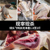 有机绿头飞鸭（净重约900-1250克） 去内脏/18个月养殖 商品缩略图2