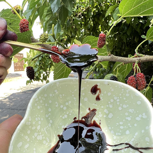 【桑葚膏】纯桑葚手工熬制  零添加 口感醇正！ 商品图4