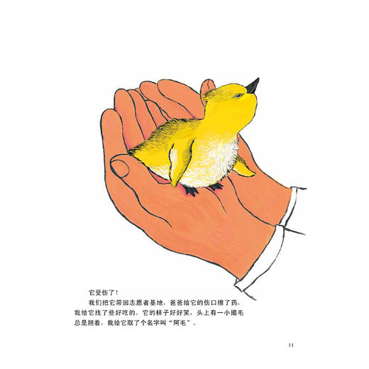 “金山银山系列绘本”（全6册） 商品图11