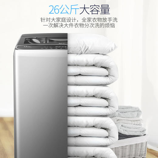 威力（WEILI）26公斤 波轮洗衣机全自动 大容量家用 量衣判水旋洗波轮 预约自编程 优质电机 商品图2