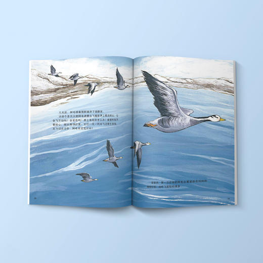 “金山银山系列绘本”（全6册） 商品图2