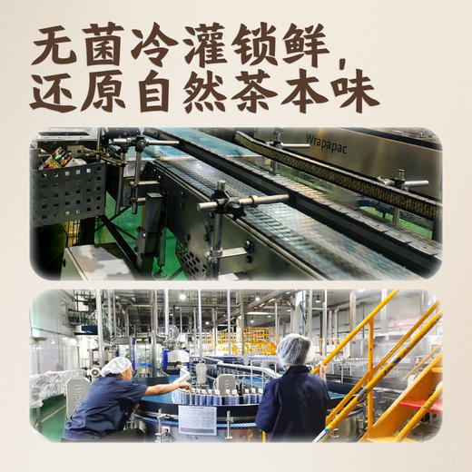 【自营】茶小开无糖纯茶饮料 500ml*4瓶/15瓶 多规格可选 商品图4