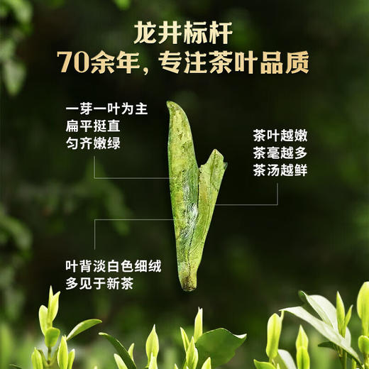 2024中茶纸包云栖产区西湖龙井200g绿茶中粮出品 商品图5