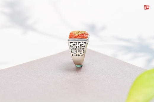 南红龙戒【飞龙在天】，925银镶 商品图4