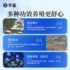 华畜水产解毒净水宝1kg 膏状有机酸 浓度更高SZ 商品缩略图6