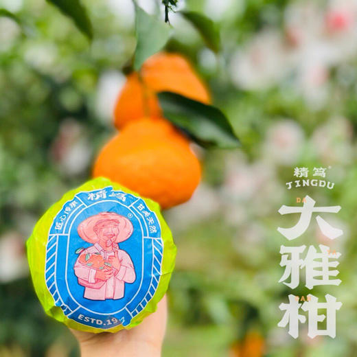 【初春限定】大雅柑 柑橘中的“鱼子酱”，巨浓郁，稀缺少有的口感 商品图6