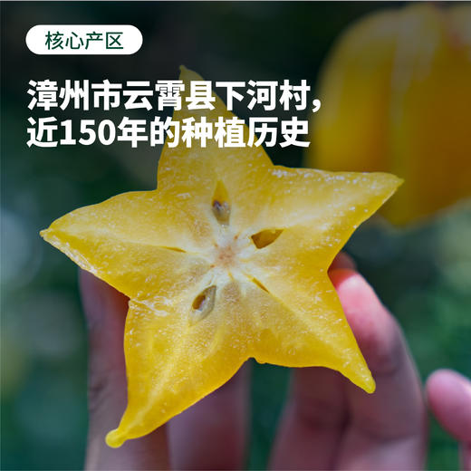 【3-5天发】福建 软枝杨桃福建特产新鲜美味可口果汁丰富  顺丰/京东随机 商品图1