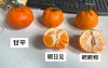 2026年一口爆汁的明日见，晚熟柑橘新贵新品 皮更薄 果肉细嫩 糖度更高 果味更浓郁 商品缩略图10