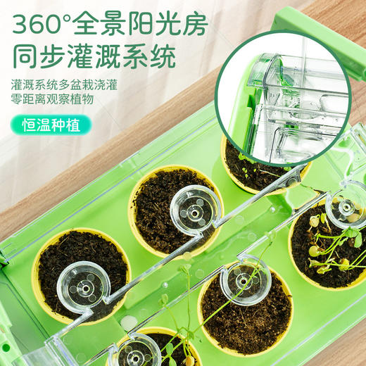 【云优选】学优马阳光房种植 360度全景阳光房 零距离观察植物 儿童种菜科学实验盆栽玩具 沉浸式种植体验 四季可种（拆封后不支持7天无理由退货，介意慎拍） 商品图1