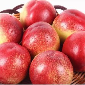 新鲜水果 澳洲进口油桃500g