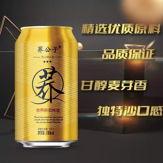 荞公子苦荞原浆啤酒 商品图10