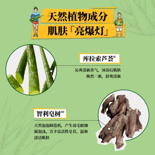 科颜氏（Kiehl's）芦荟清新沐浴啫喱 500ml 清洁舒缓沐浴露男女通用洗护洗沐用品 心选到家 商品图1