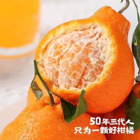 【初春限定】大雅柑 柑橘中的“鱼子酱”，巨浓郁，稀缺少有的口感