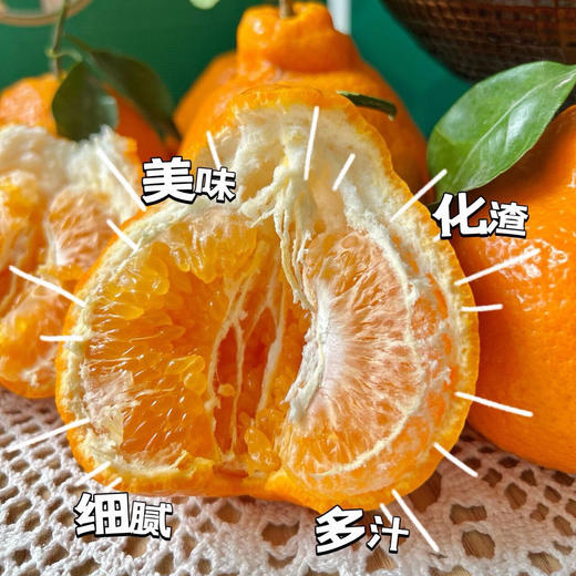 【初春限定】大雅柑 柑橘中的“鱼子酱”，巨浓郁，稀缺少有的口感 商品图3