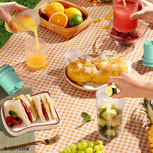 豹牌  便携式榨汁杯300ml  BP-PN058 商品图4