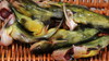 【生态】黄刺鱼（250g）/（500g) 商品缩略图3