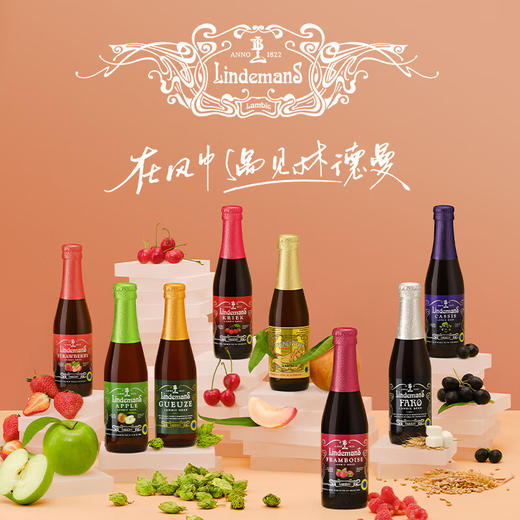 比利时林德曼啤酒250ml 果味啤酒系列啤酒泡沫丰富果味浓郁 011655/011656/012609/012610/012611/012612 商品图1