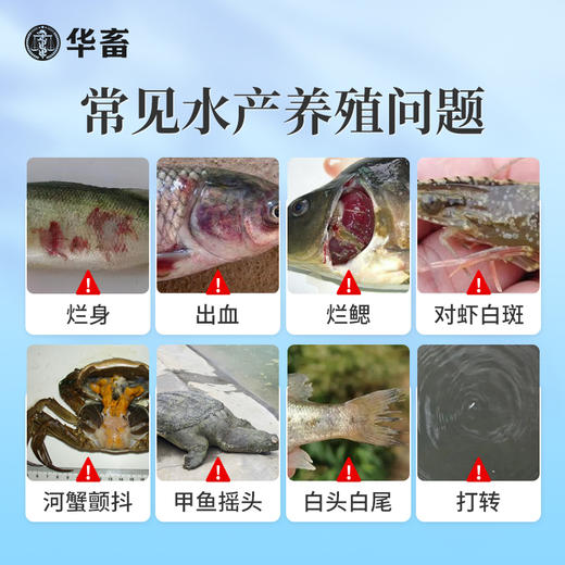 华畜水产养殖预防病毒1号 商品图1
