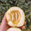 【小蜜蜂蜜罐甜瓜】山东小蜜蜂蜜罐甜瓜 脆甜爽口 3斤/4.5斤 商品缩略图2