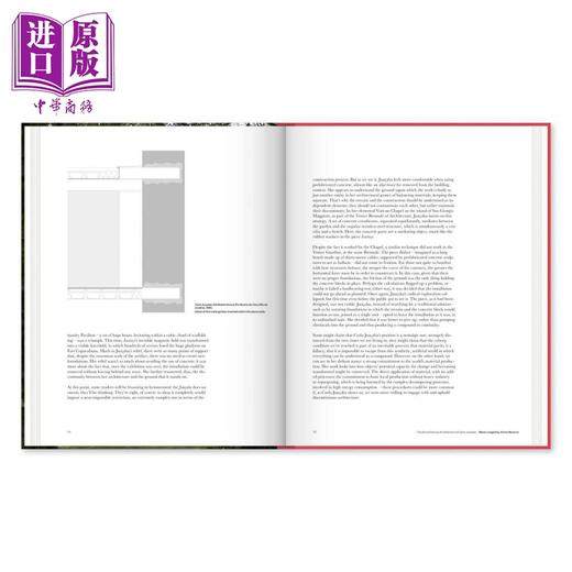 【中商原版】2G 88: Carla Juacaba: No. 88. International Architecture Review 进口艺术 第88号国际建筑评论 商品图3
