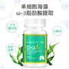 童年故事DHA藻油 儿童海藻油88%纯度dha胶囊  进口60粒/瓶 孕期/哺乳期可用 商品缩略图2
