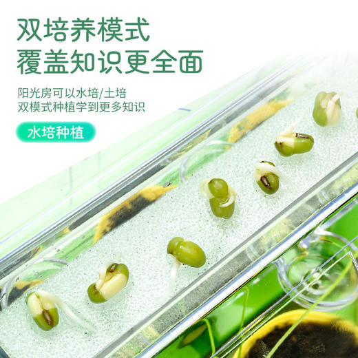【云优选】学优马阳光房种植 360度全景阳光房 零距离观察植物 儿童种菜科学实验盆栽玩具 沉浸式种植体验 四季可种（拆封后不支持7天无理由退货，介意慎拍） 商品图3