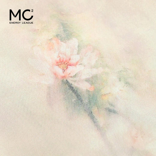 女装斜门襟雪纺印花上衣配半裙两件套-827S4221006 商品图3