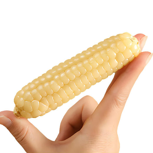 西双版纳【拇指小玉米】香甜软糯 入口细腻 软嫩可口 真空密封 快速锁鲜 商品图3