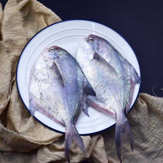 流网大鲳鱼 鲳鱼烧年糕 买条鲳鱼在家试试吧 商品图2