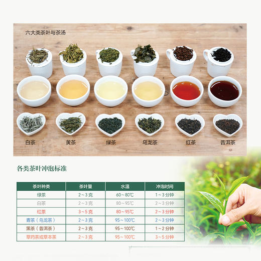 新式茶饮112款  掌握一个公式 创造茶饮的无限可能 商品图4