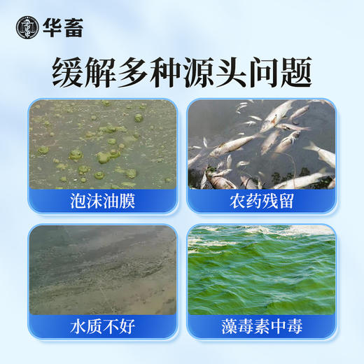 华畜水产解毒净水宝1kg 膏状有机酸 浓度更高SZ 商品图3