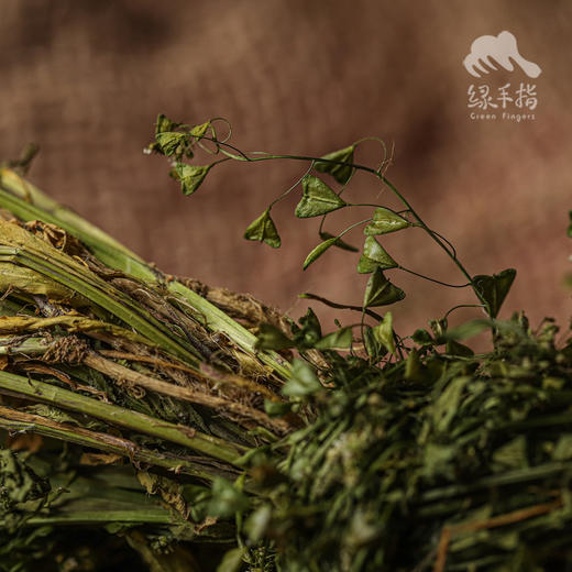 生态荠菜干（有根有叶有花） | 绿家自产 * Eco-dried shepherd's purse | Self-production 商品图3