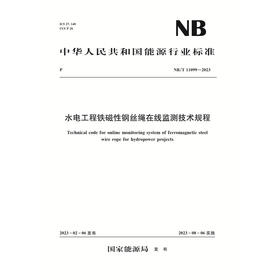 水电工程铁磁性钢丝绳在线监测技术规程（NB/T 11099—2023）