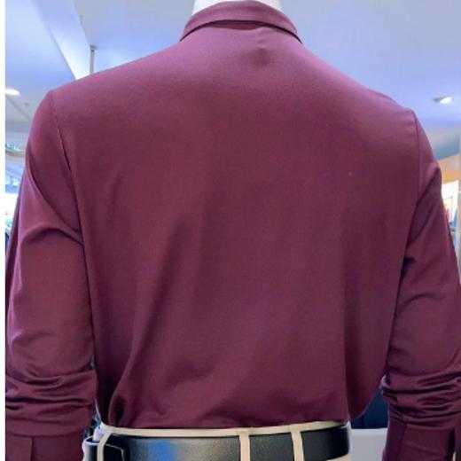 南4迪诺兰顿长袖衬衫6677 商品图2