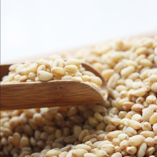 燕之坊 杂粮 五谷田园杂粮礼盒2.4kg 精选黄小米糙米组合礼盒送礼团购 五谷田园杂粮礼盒2.4kg 商品图4