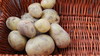 锄禾土豆（500g） 商品缩略图5