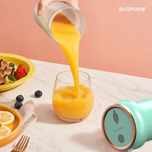 豹牌  便携式榨汁杯300ml  BP-PN058 商品图1