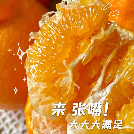 【初春限定】大雅柑 柑橘中的“鱼子酱”，巨浓郁，稀缺少有的口感 商品图2