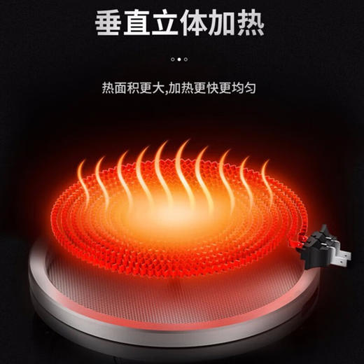 豹牌  智能电陶炉  2200W大功率  BP-RC192 商品图3