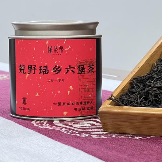 懂茶帝-韦洁群-2010年荒野瑶乡六堡茶50g 商品图0