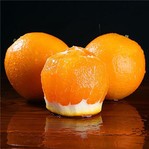 【严选】湖北秭归新鲜采摘伦晚橙5斤/9斤彩箱装 （厂家直发） 商品图3