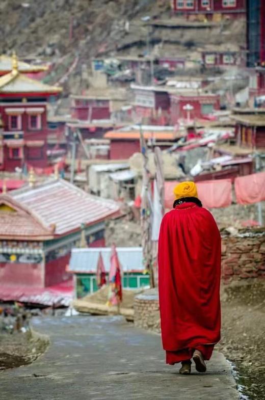 狼族行摄丨五月川西深度11日行摄之旅——四姑娘山鱼子西色达牛背山等 商品图12