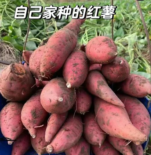 【预售】超妈涟源老家的纯手工红薯粉条，口感筋道有弹性~满88包邮 商品图1