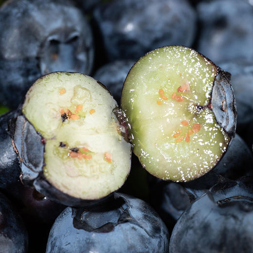【果叔严选】踏沙寻莓 新疆喀什蓝莓 当季鲜果 商品图0