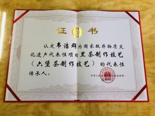 懂茶帝-韦洁群-2010年荒野瑶乡六堡茶50g 商品图6