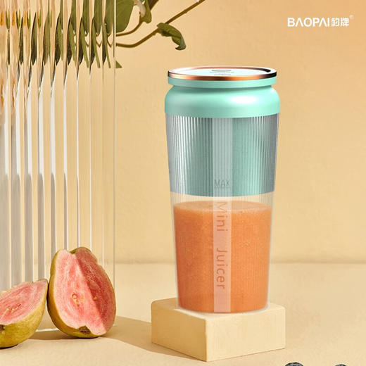 豹牌  便携式榨汁杯300ml  BP-PN058 商品图0